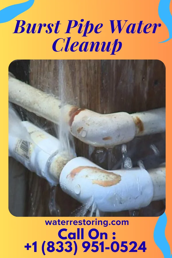 Burst Pipe Water Cleanup in Svensen, OR