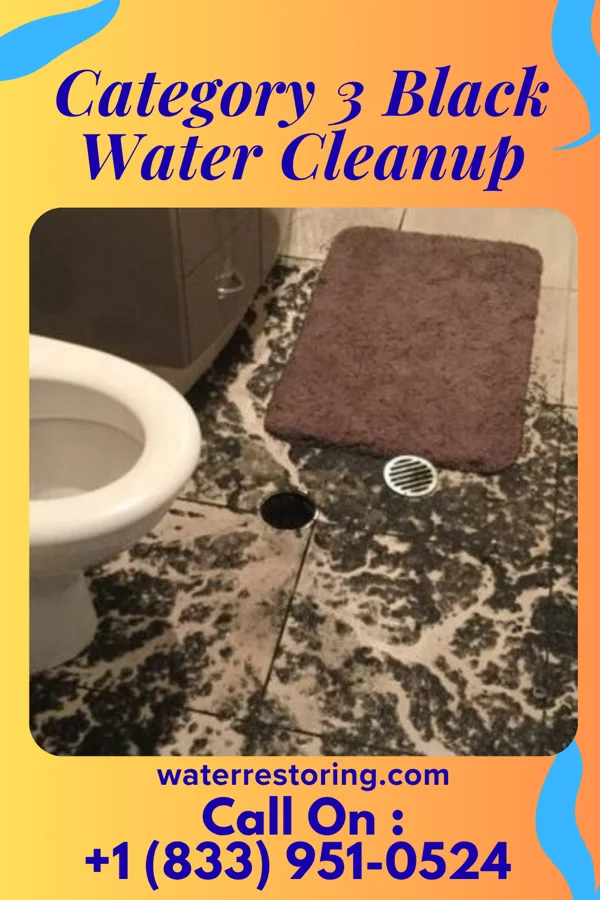 Category 3 Black Water Cleanup in Svensen, OR