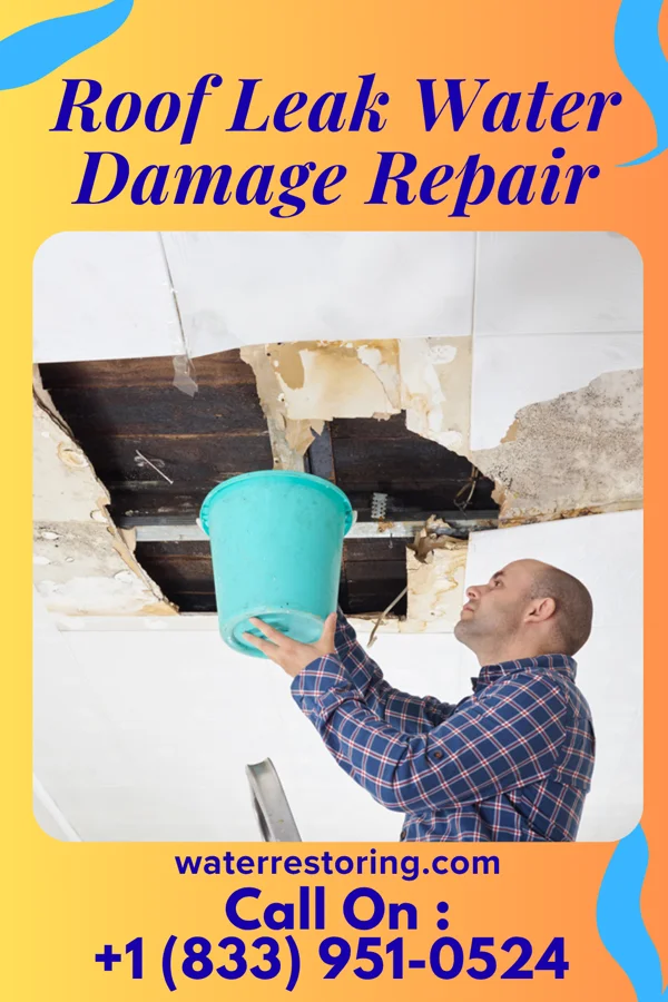 Roof Leak Water Damage Repair in Svensen, OR